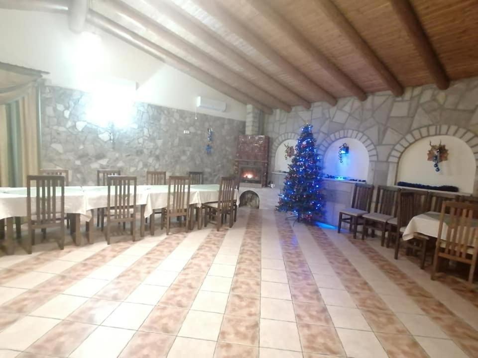 Pensiunea Lory Agarcia Εξωτερικό φωτογραφία